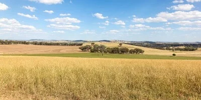 Removalists Central West, New South Wales