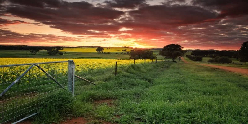 Removalists Central West, Queensland