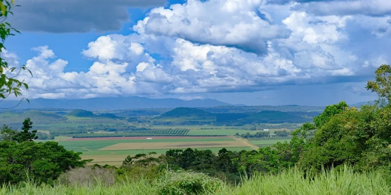 Removalists Far North, Queensland