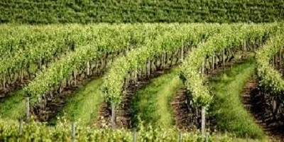 Removalists Yorke And Lower North, South Australia