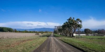 Removalists Northern, Tasmania
