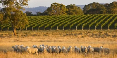 Removalists Goulburn, Victoria