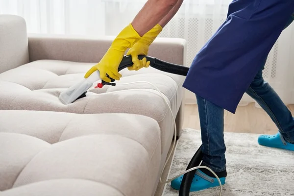 Cleaning Sofa