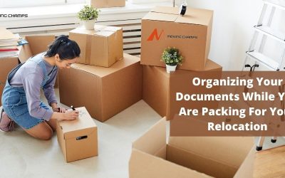 Organizing Your Documents While You Are Packing For Your Relocation