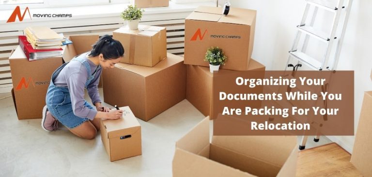 Organizing Your Documents While You Are Packing For Your Relocation