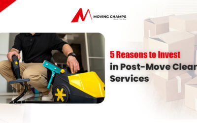 5 Reasons to Invest in Post-Move Cleaning Services