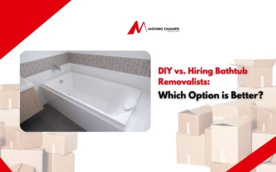 DIY vs. Hiring Bathtub Removalists: Which Option is Better?