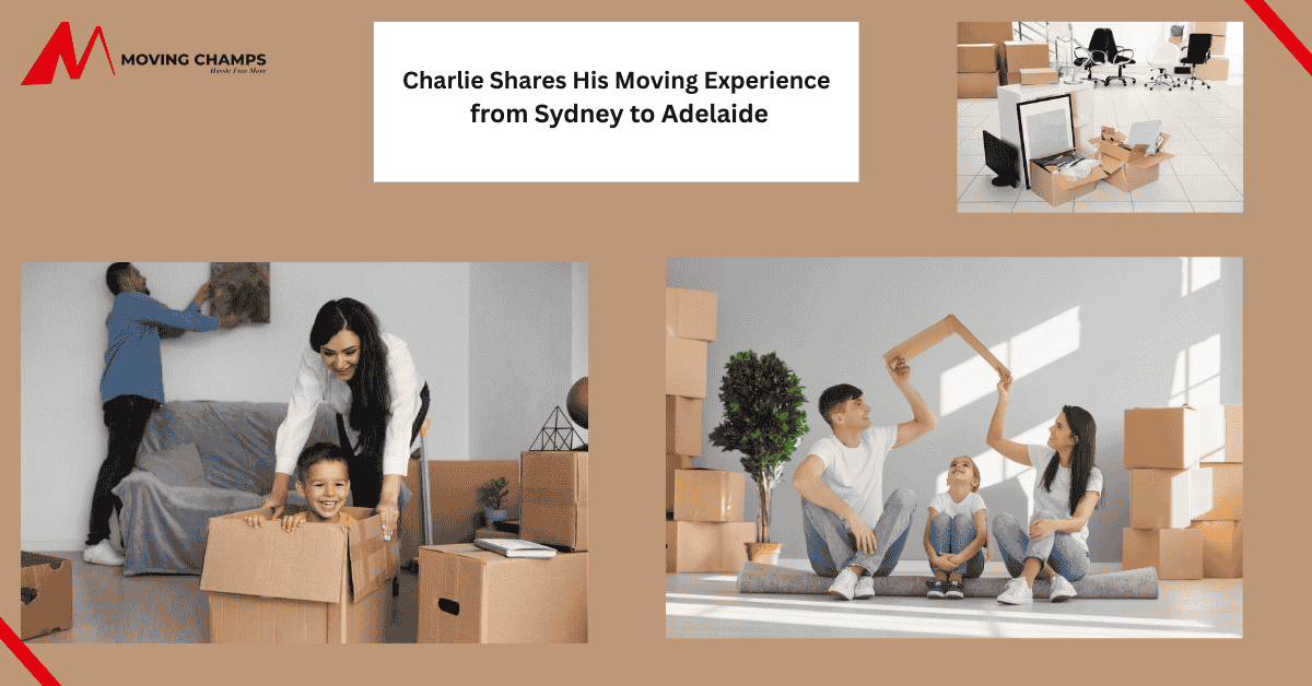 moving experience from syndey to adelaide