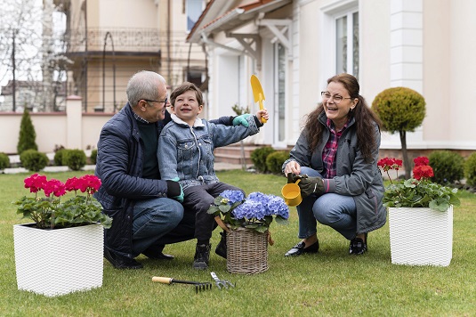 Ready-to-move garden plants and outdoor products